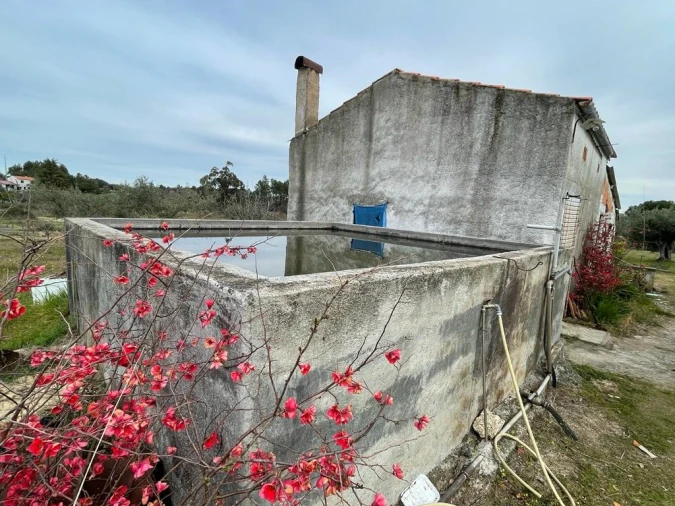 Quinta T2 para Venda em Orca Foto 7