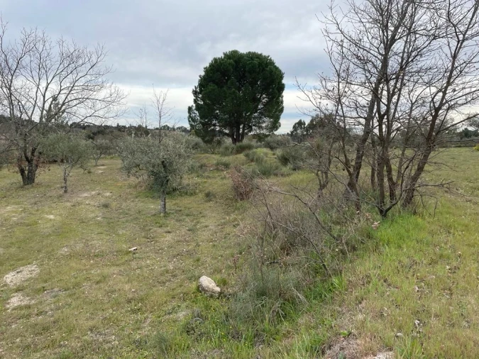 Quinta T2 para Venda em Orca Foto 31