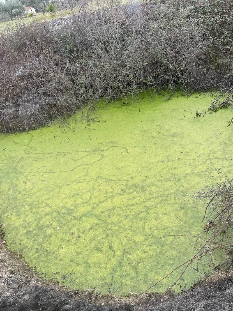 Quinta T2 para Venda em Orca Foto 53