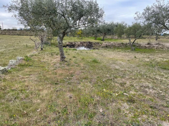 Quinta T2 para Venda em Orca Foto 62