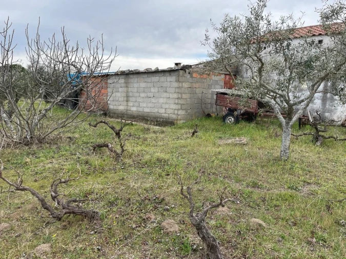 Quinta T2 para Venda em Orca Foto 21