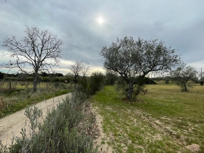 Quinta T2 para Venda em Orca Foto 39