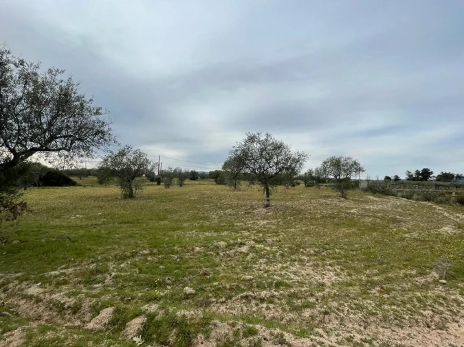 Quinta T2 para Venda em Orca Foto 40