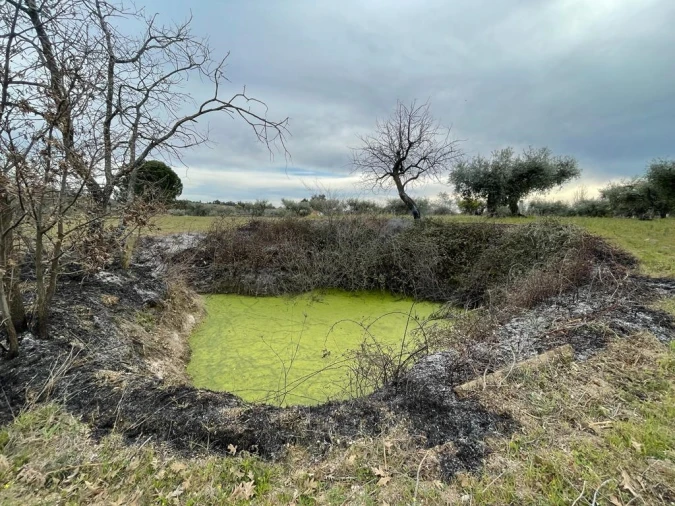 Quinta T2 para Venda em Orca Foto 25