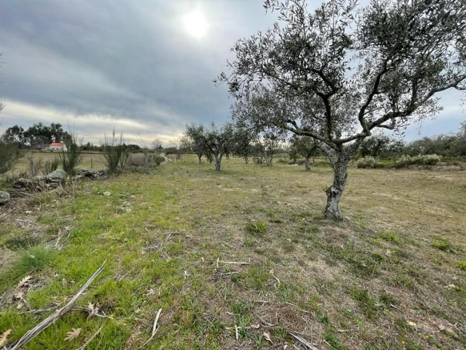 Quinta T2 para Venda em Orca Foto 72