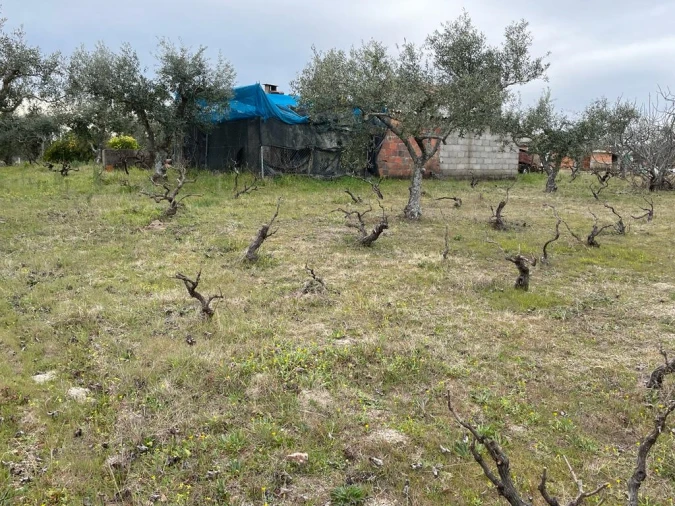 Quinta T2 para Venda em Orca Foto 24