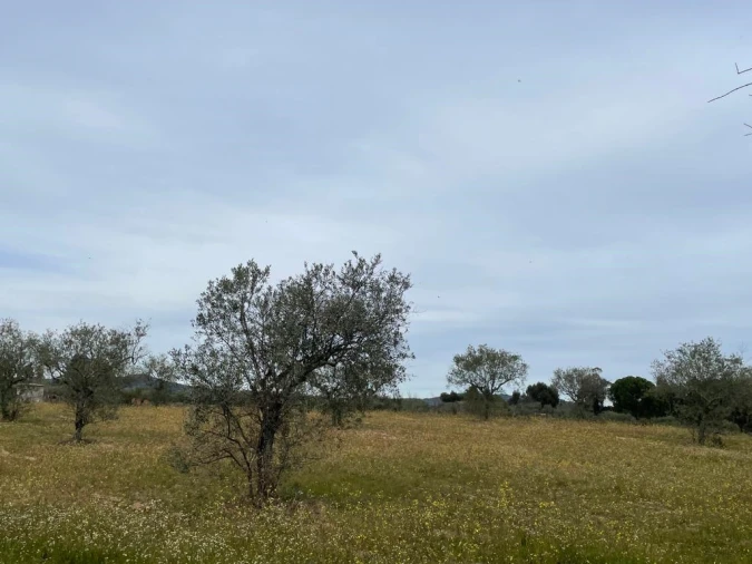 Quinta T2 para Venda em Orca Foto 46