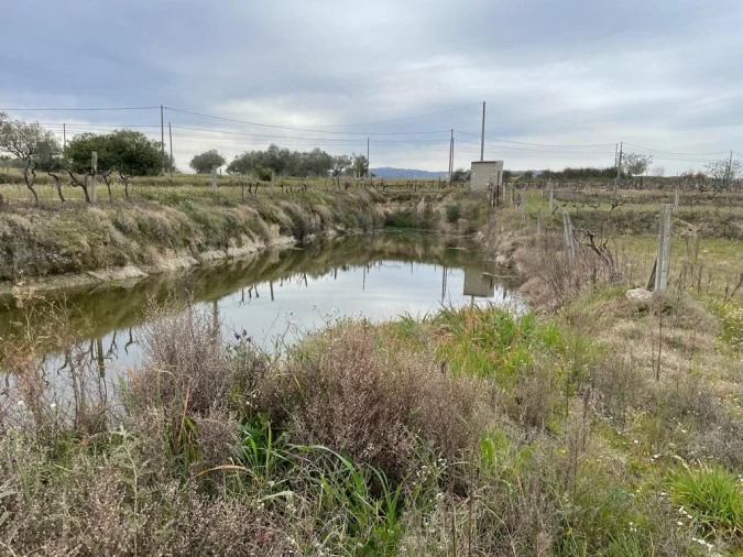 Quinta T2 para Venda em Orca Foto 71