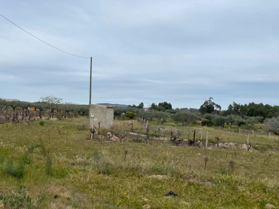 Quinta T2 para Venda em Orca Foto 47