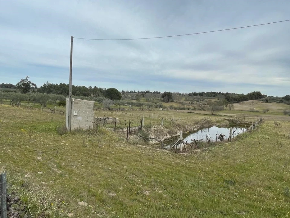 Quinta T2 para Venda em Orca Foto 50