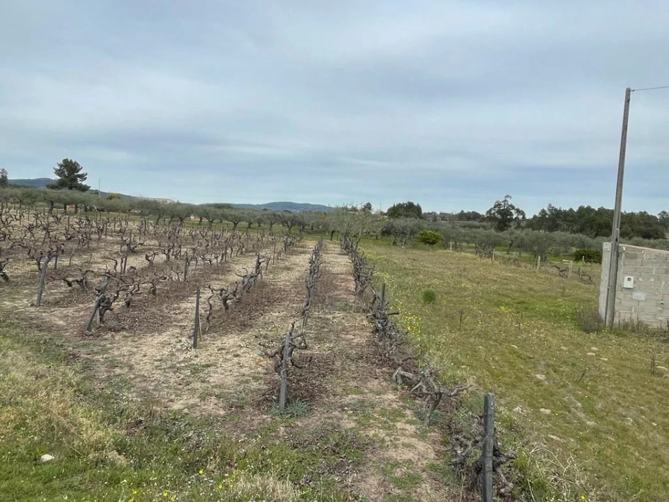 Quinta T2 para Venda em Orca Foto 49