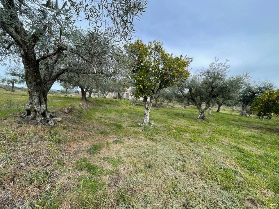 Quinta T2 para Venda em Orca Foto 89