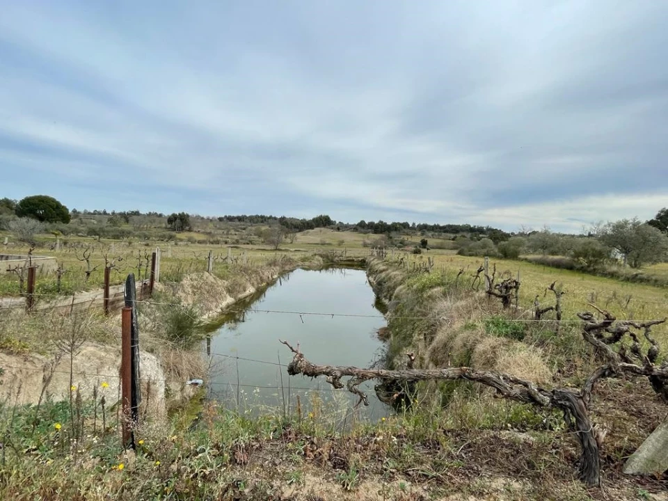 Quinta T2 para Venda em Orca Foto 77