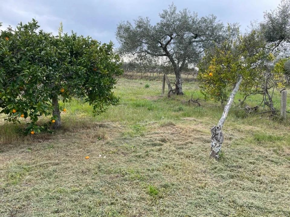 Quinta T2 para Venda em Orca Foto 70