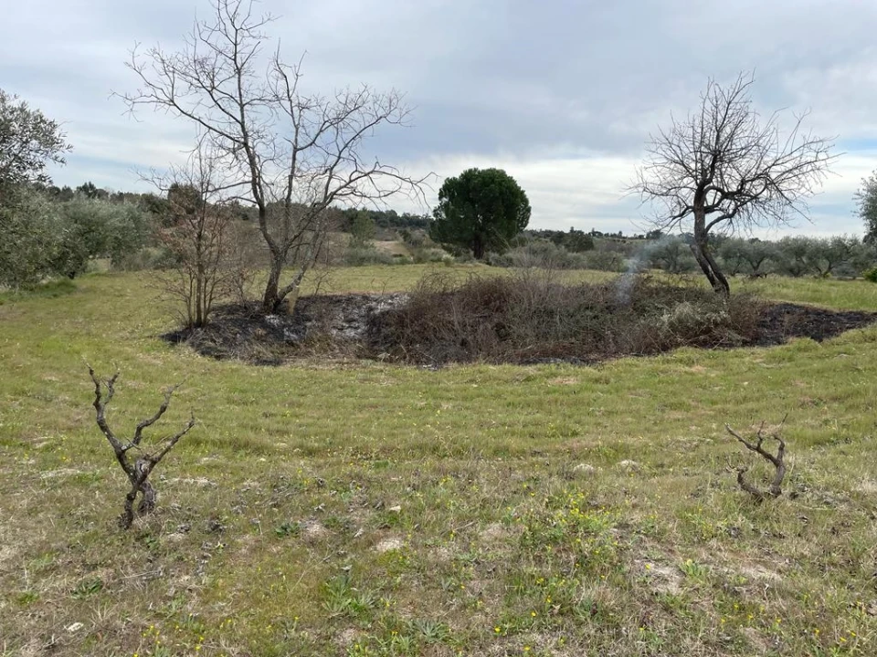 Quinta T2 para Venda em Orca Foto 23