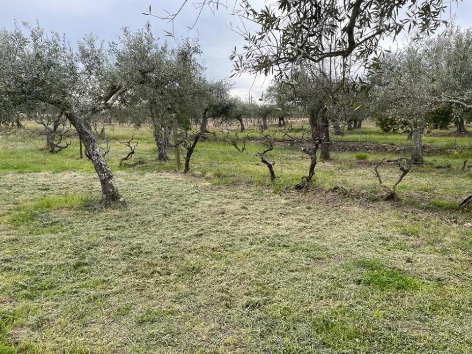 Quinta T2 para Venda em Orca Foto 69