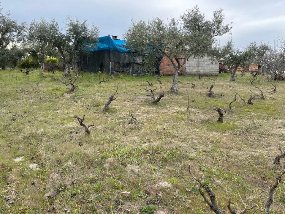 Quinta T2 para Venda em Orca Foto 24