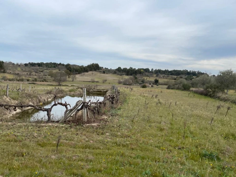 Quinta T2 para Venda em Orca Foto 76