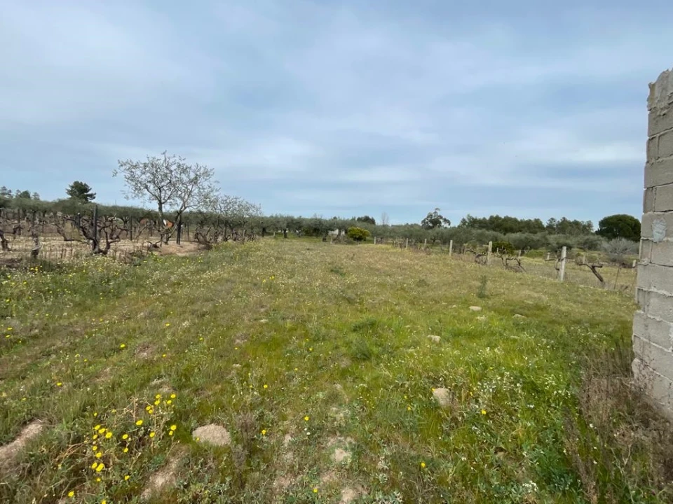 Quinta T2 para Venda em Orca Foto 80