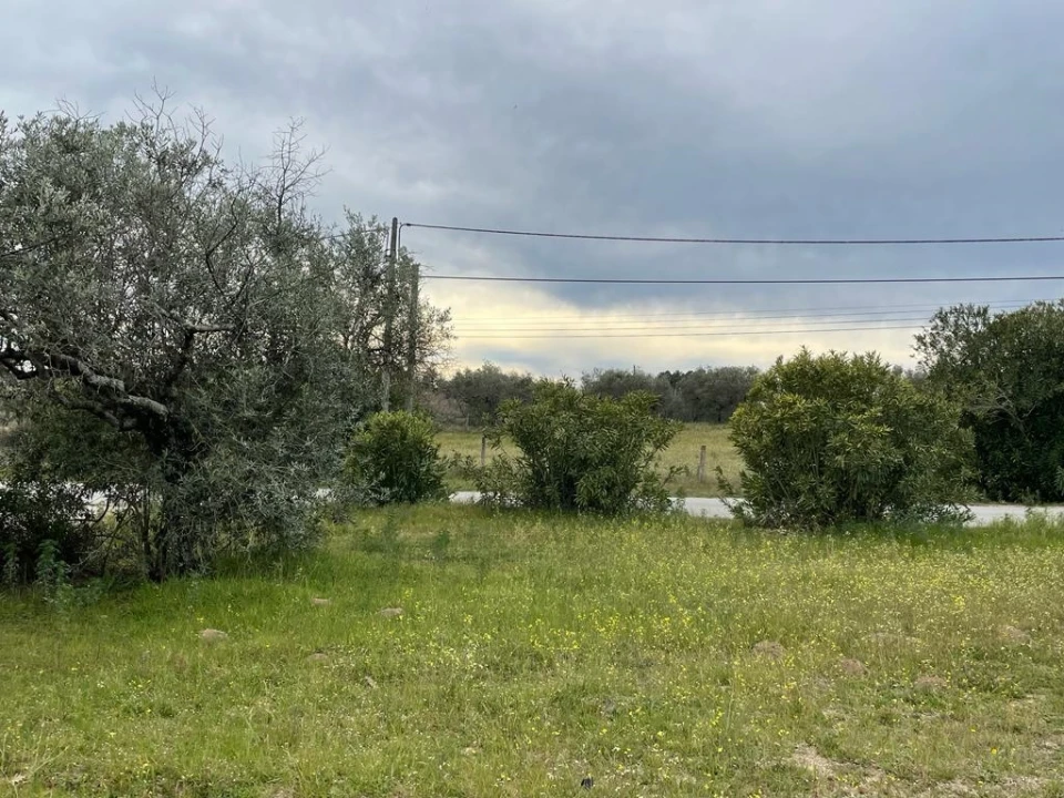 Quinta T2 para Venda em Orca Foto 43