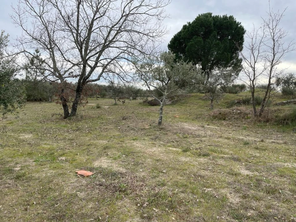 Quinta T2 para Venda em Orca Foto 32