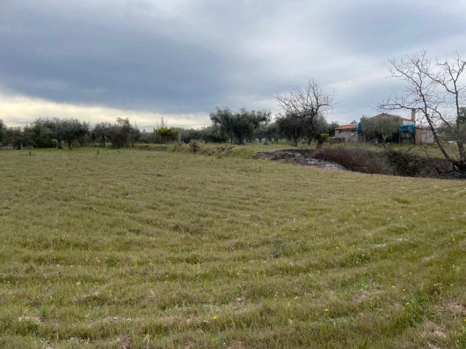 Quinta T2 para Venda em Orca Foto 30