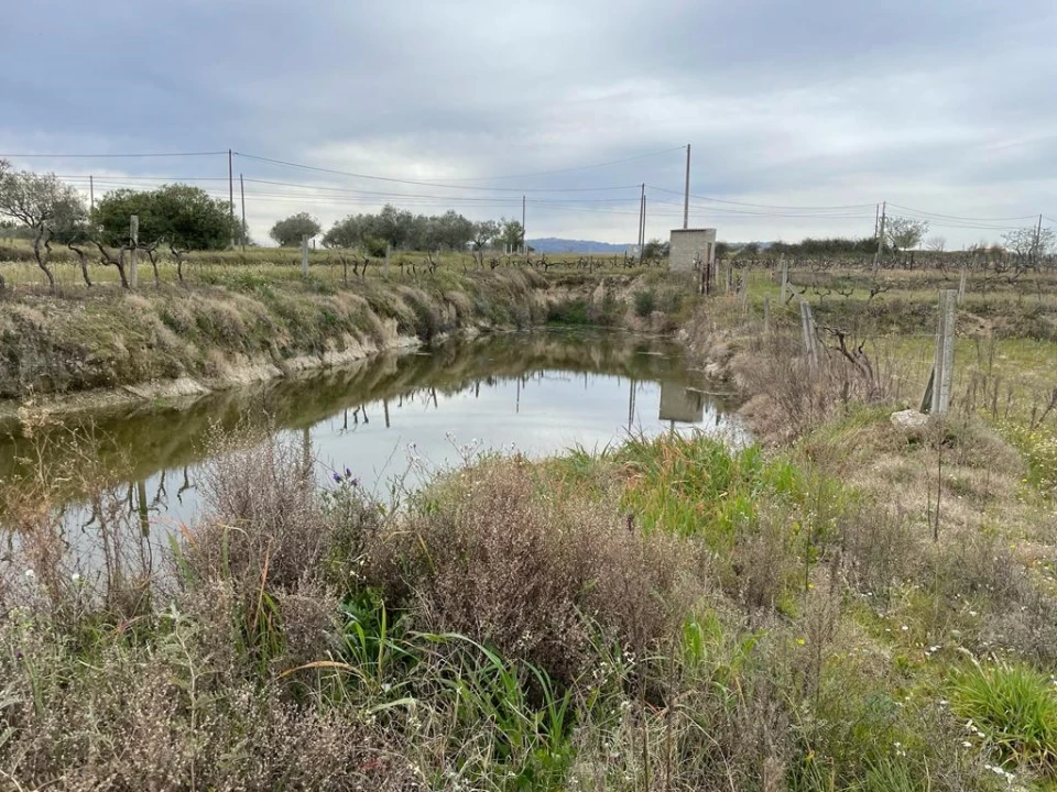 Quinta T2 para Venda em Orca Foto 71