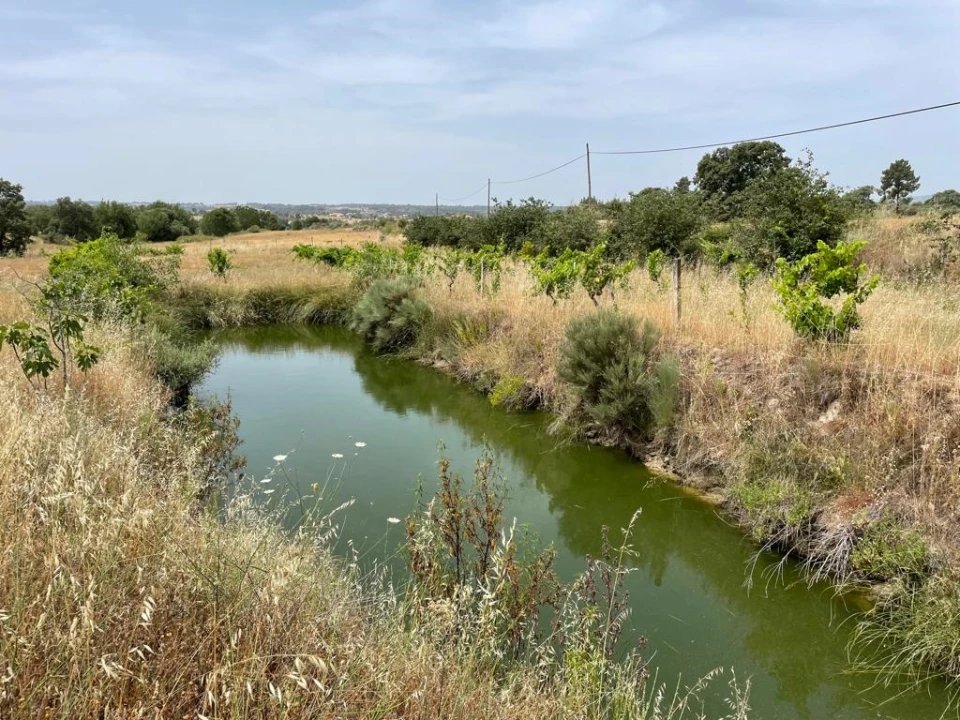 Quinta T1 para Venda em Orca Foto 12