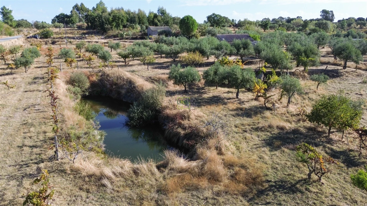 Quinta T1 para Venda em Orca Foto 30