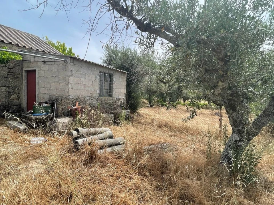 Quinta T1 para Venda em Orca Foto 18