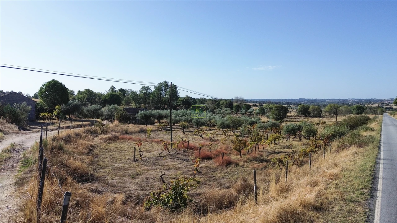 Quinta T1 para Venda em Orca Foto 5