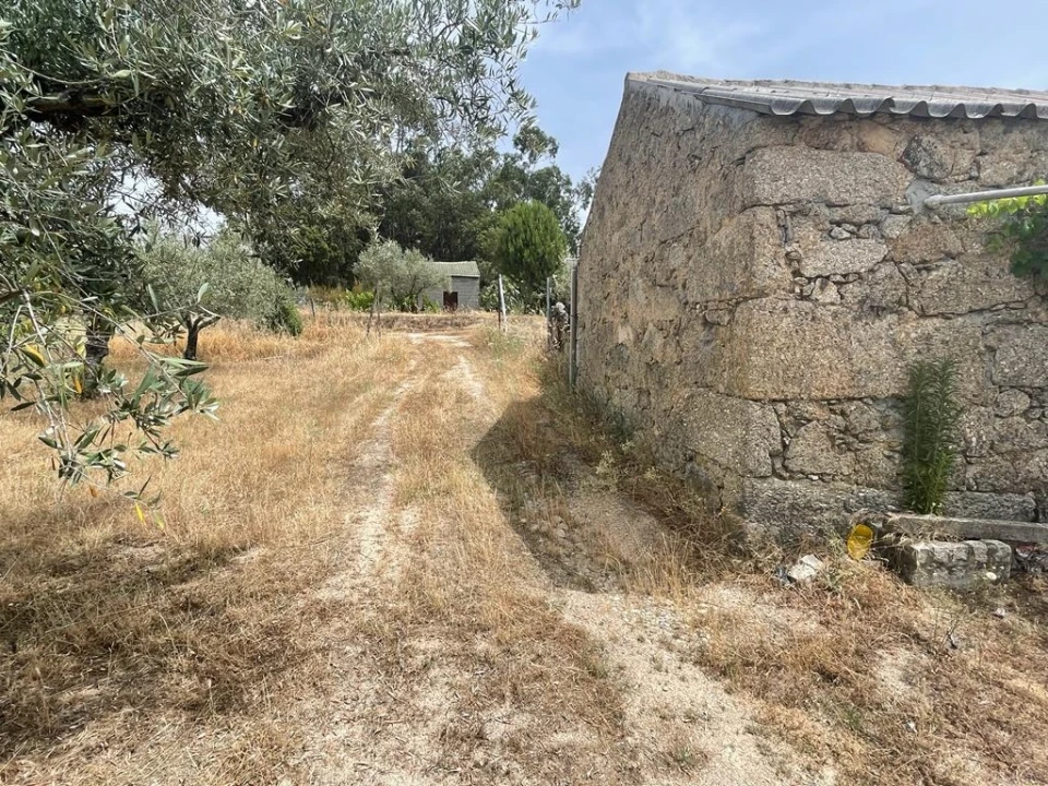 Quinta T1 para Venda em Orca Foto 21