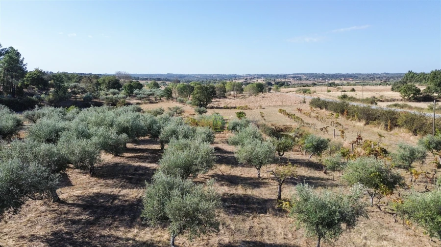 Quinta T1 para Venda em Orca Foto 28