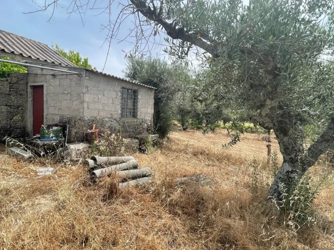 Quinta T1 para Venda em Orca Foto 18