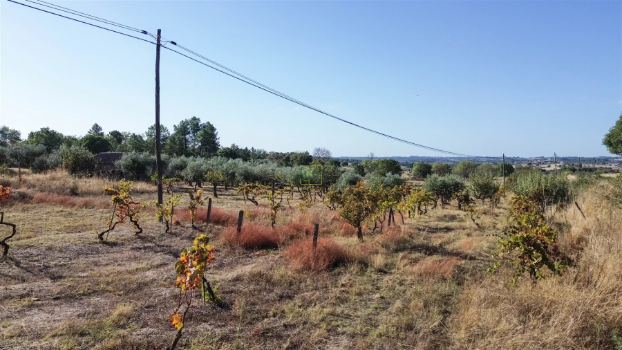 Quinta T1 para Venda em Orca Foto 20