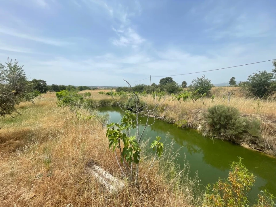 Quinta T1 para Venda em Orca Foto 17