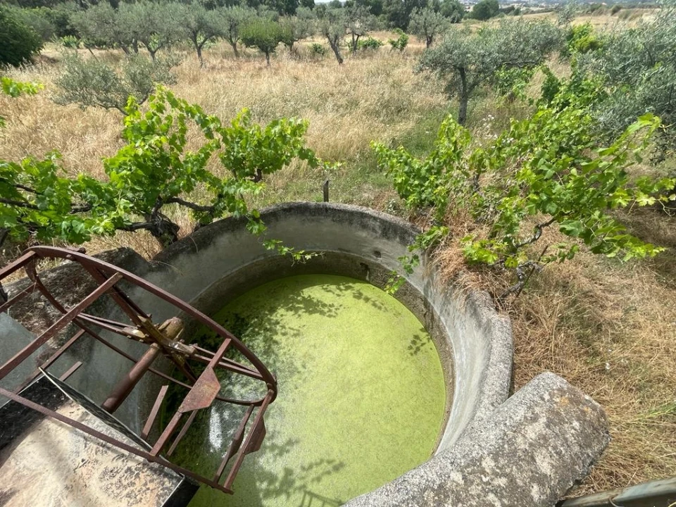 Quinta T1 para Venda em Orca Foto 16