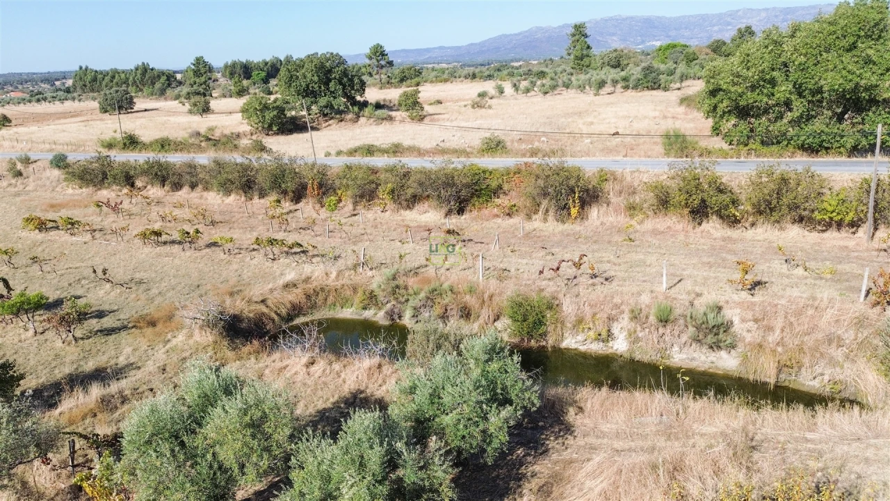 Quinta T1 para Venda em Orca Foto 25