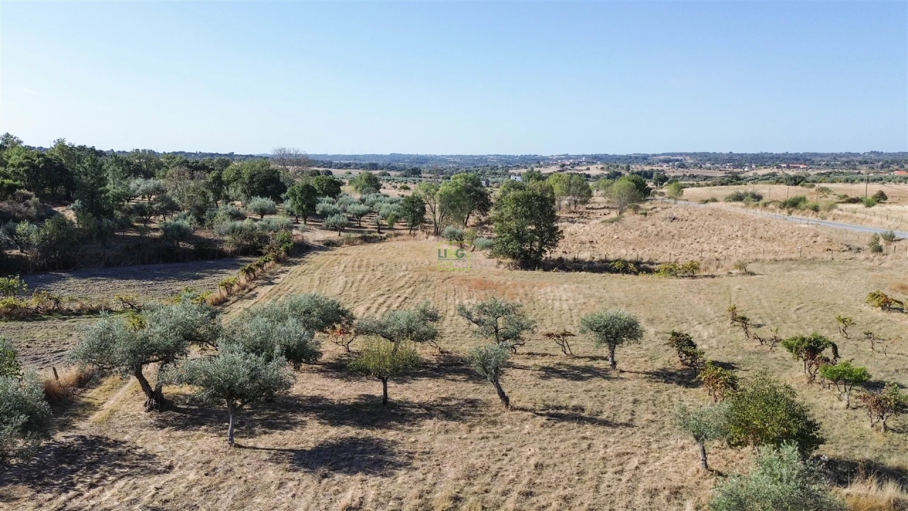 Quinta T1 para Venda em Orca Foto 3