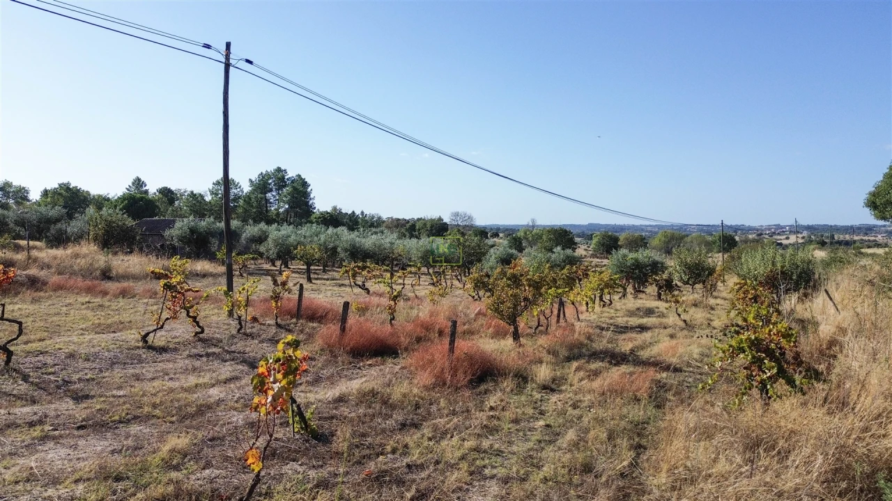 Quinta T1 para Venda em Orca Foto 20