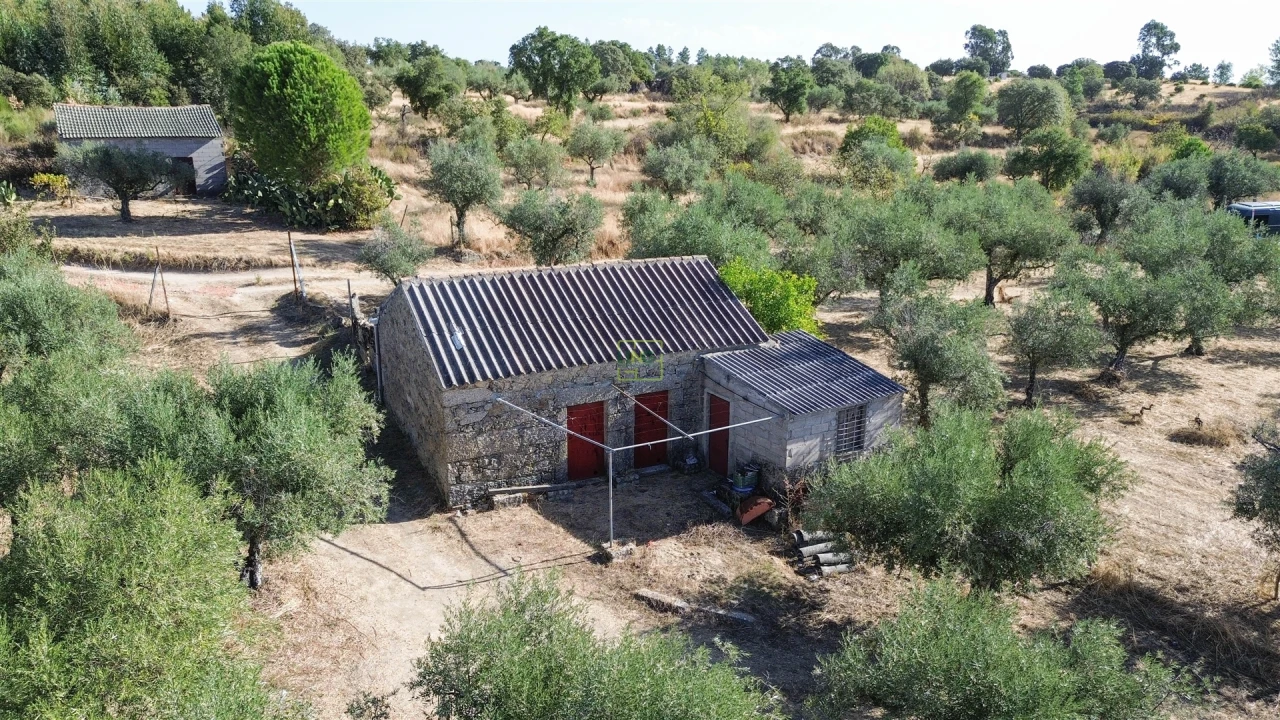 Quinta T1 para Venda em Orca Foto 13