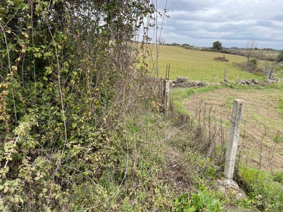 Quinta T1 para Venda em Orca Foto 40