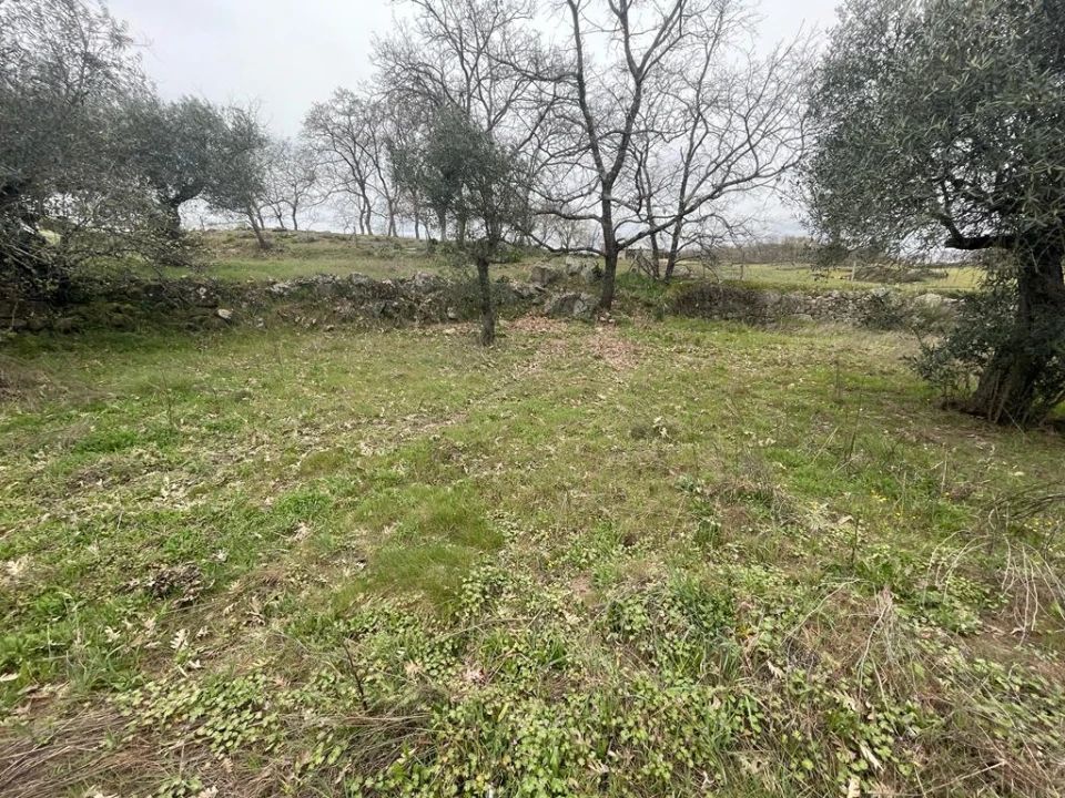 Quinta T1 para Venda em Orca Foto 24