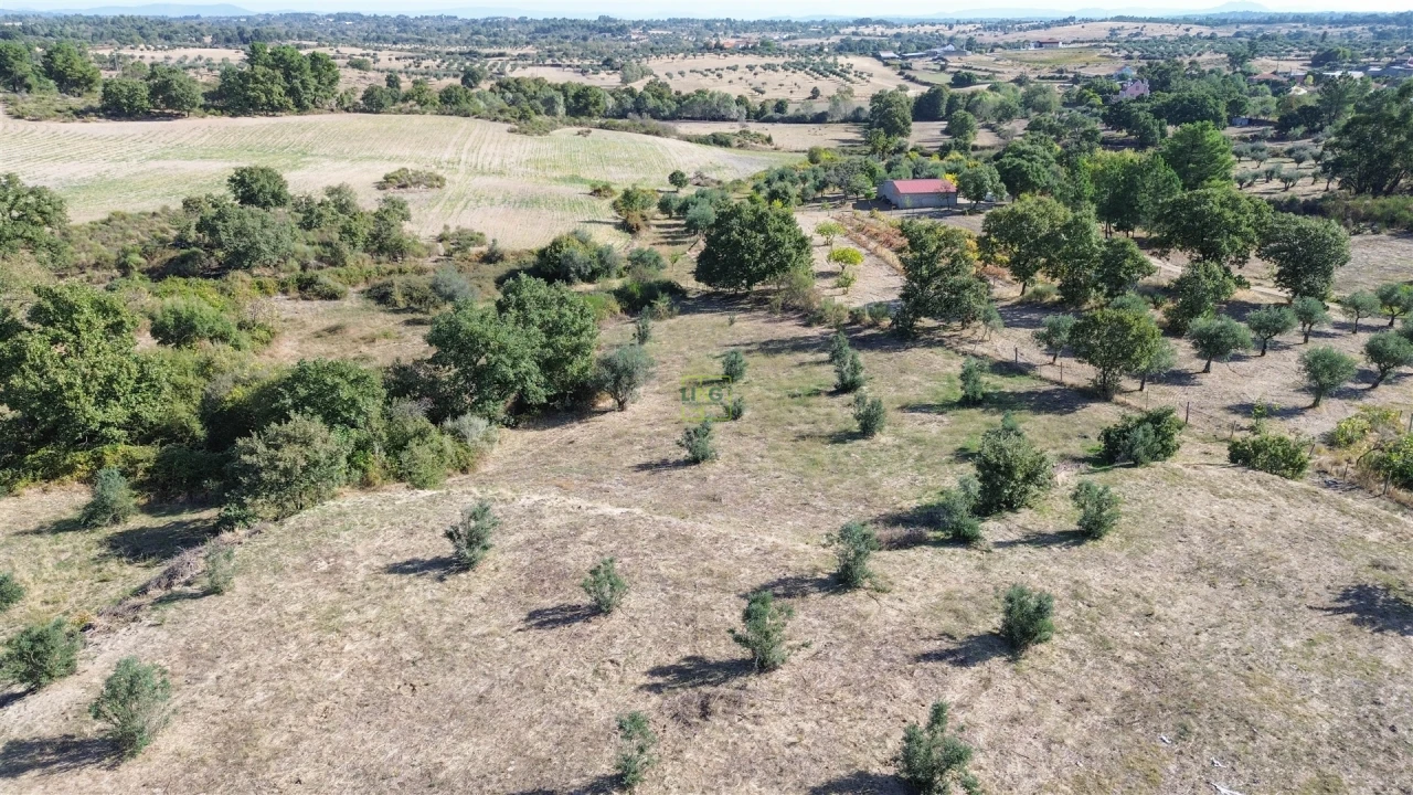 Quinta T1 para Venda em Orca Foto 53