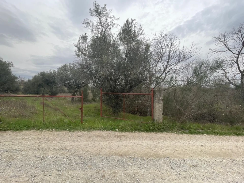 Quinta T1 para Venda em Orca Foto 42