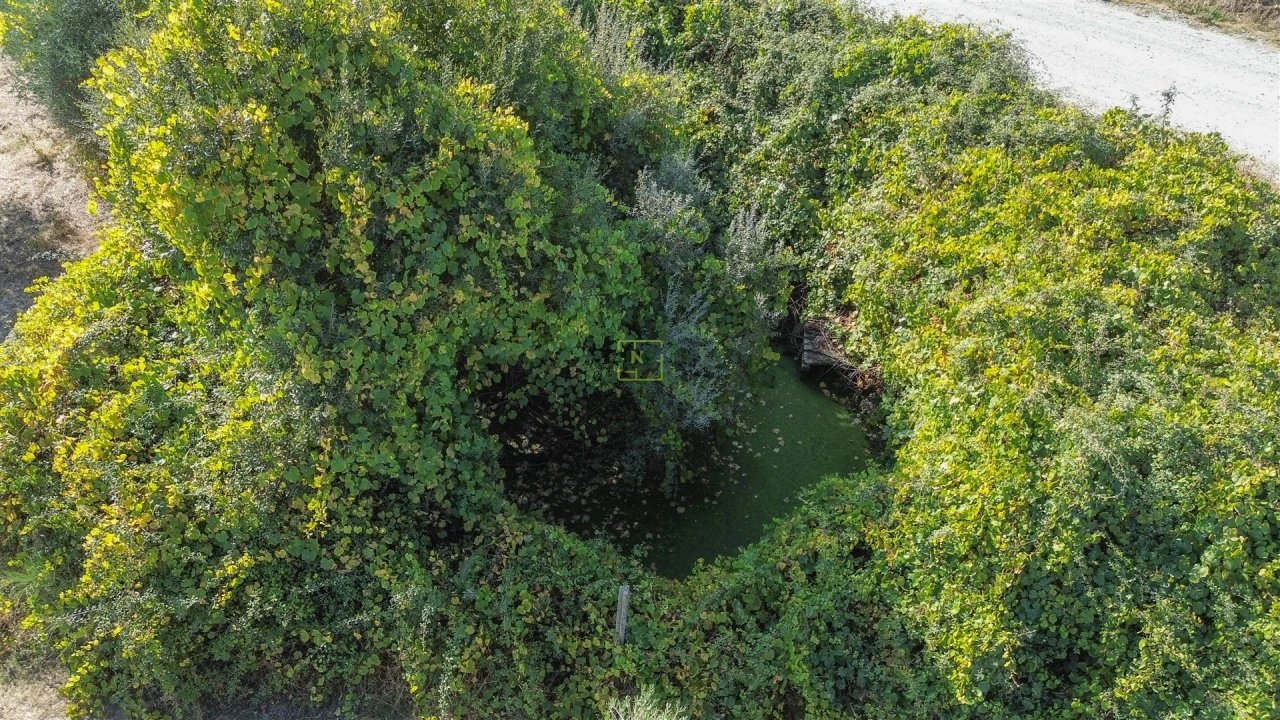 Quinta T1 para Venda em Orca Foto 10