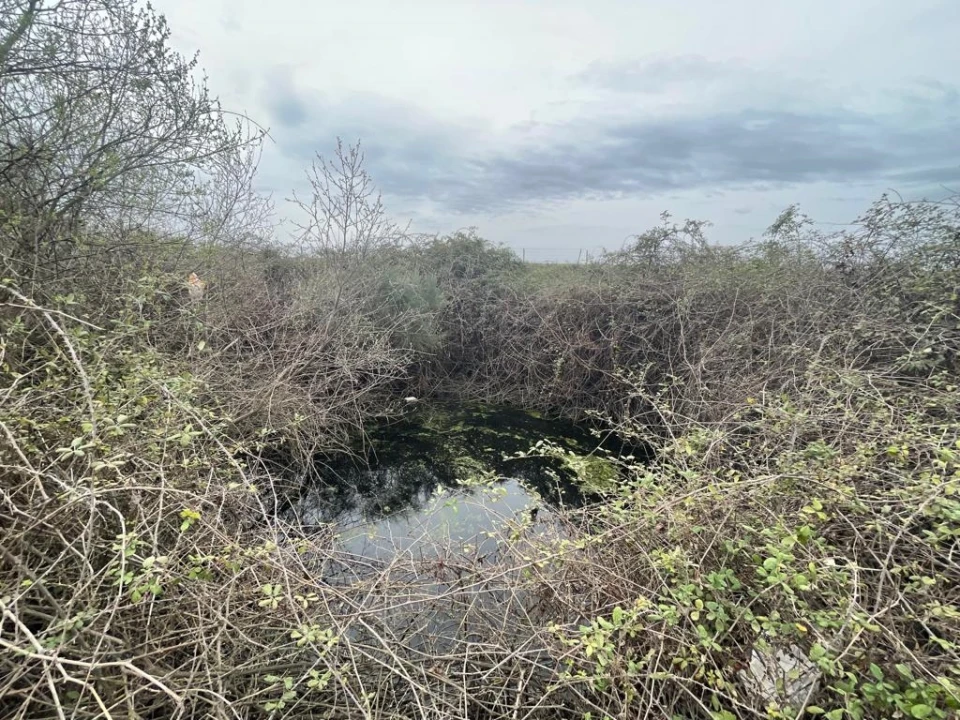 Quinta T1 para Venda em Orca Foto 19