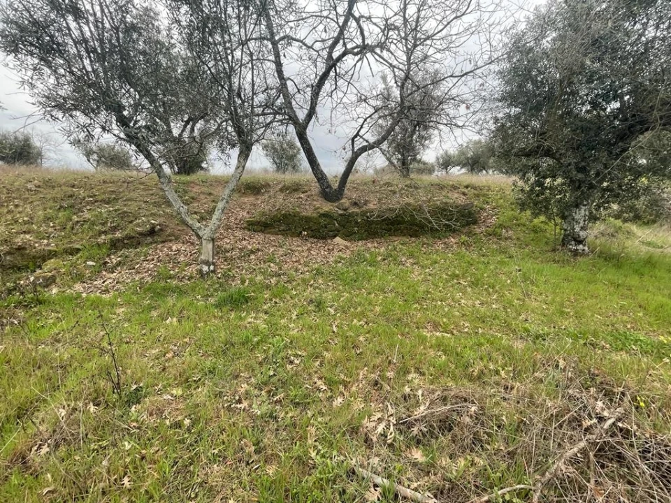 Quinta T1 para Venda em Orca Foto 26