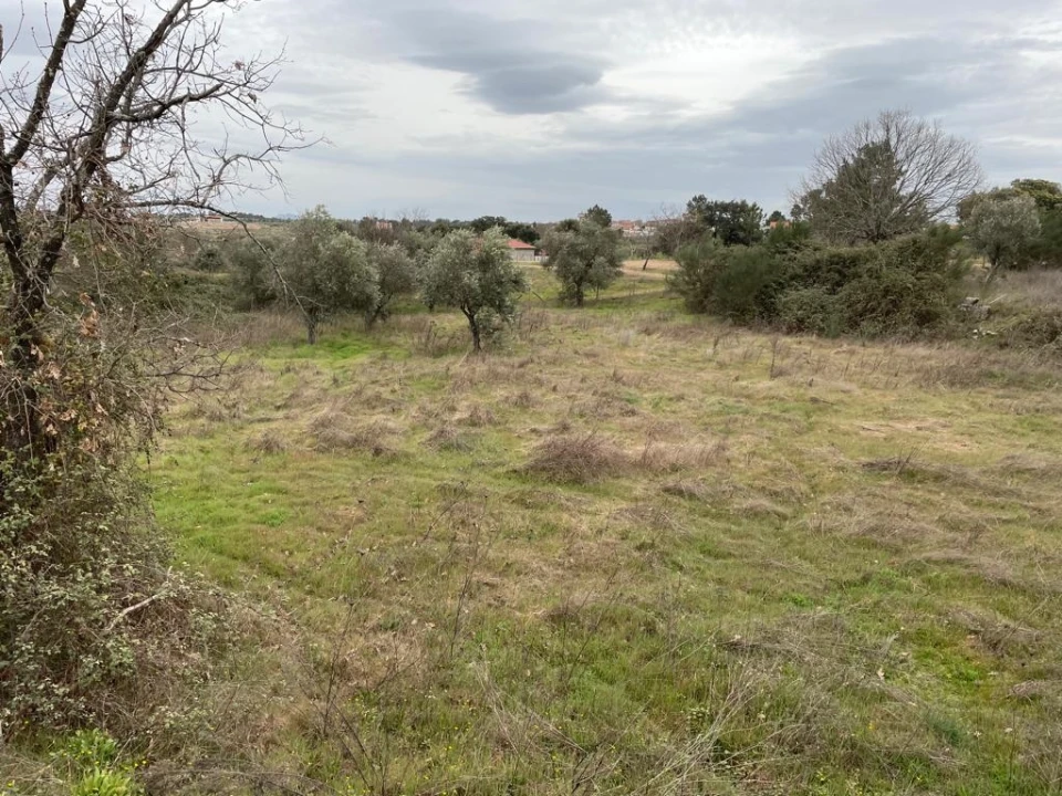 Quinta T1 para Venda em Orca Foto 35