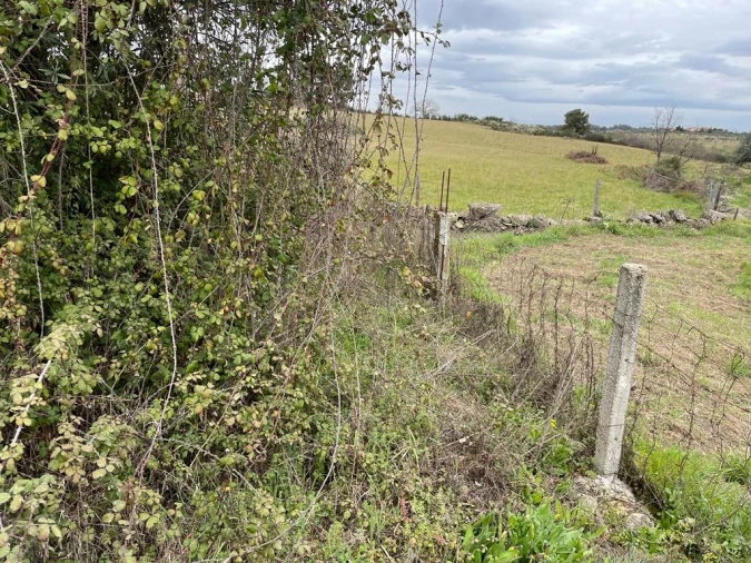 Quinta T1 para Venda em Orca Foto 40